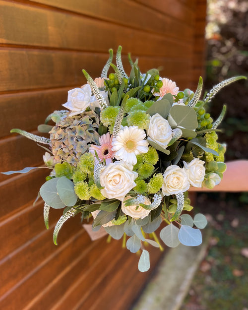 Signs of Spring | 2nd April 2026